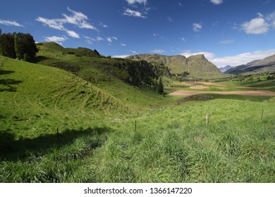 Green grass and field on a bright sunny day in front of mountain scenary, New Zealand