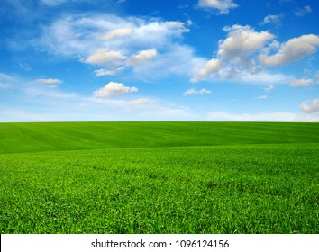 Green Field Blue Sky Light Clouds Stock Photo 112275497 | Shutterstock