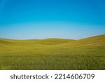 Green grass field on small hills and blue sky. 
