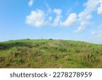 Green grass field on small hills and blue sky with clouds. Field of fresh grass on a background of blue sky. green grass field and bright blue sky. Plain landscape background for summer poster.