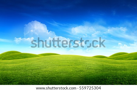 Green grass field on small hills and blue sky with clouds