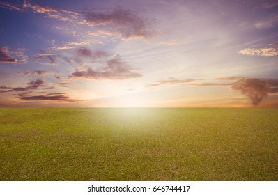 Green Grass Field On Sunrise Sky Stock Photo 646744417 | Shutterstock