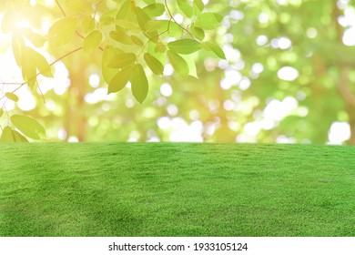 Green Grass Field Over Bokeh Nature Background.