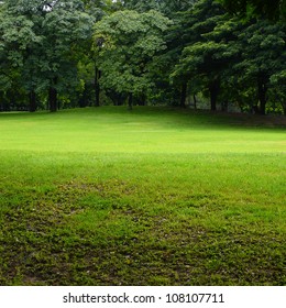 6,379,096 Grass park Images, Stock Photos & Vectors | Shutterstock