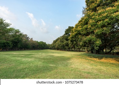 Green Grass Field Park City Center Stock Photo 1075273478 