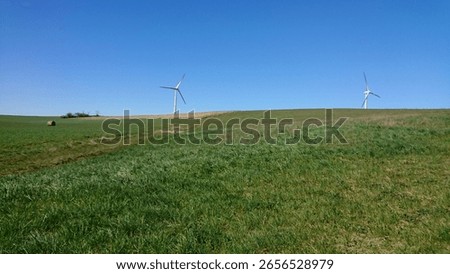 green grass fields and blue sky and a lake with tree