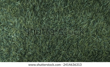 Green grass floor abstract background