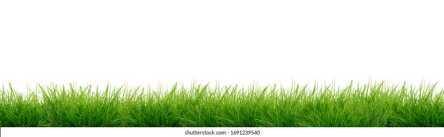 Green grass isolated - banner - Shutterstock ID 1691239540