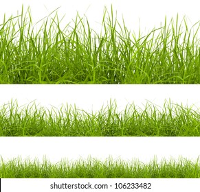 Green Grass Isolated On White Background