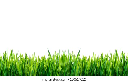 Зеленая трава изолирована на белом фоне
