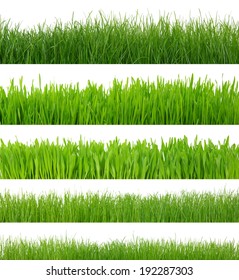 green grass isolated on white background  - Shutterstock ID 192287303