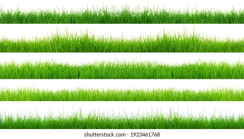 Green grass isolated on white background. The collection different types of lawn - Shutterstock ID 1923461768
