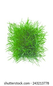 The Green Grass Isolated On White. Top View.