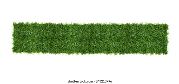 The Green Grass Isolated On White. Top View.