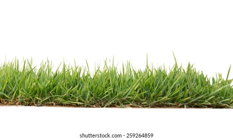 30,830 Grass clippings Images, Stock Photos & Vectors | Shutterstock