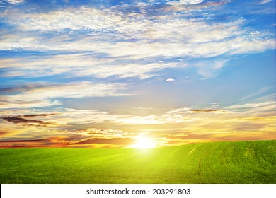 Green Grass Landscape At Sunset. Romantic Clouds. HD Background