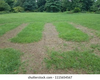 Green Grass With Large Brown Dead Patches