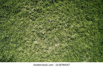 Green Grass Lawn Background Above Top Drone Vies. Pattern Abstract Grass