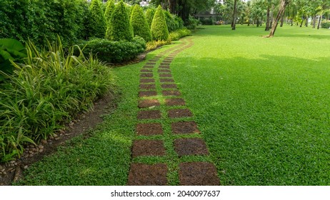 Green Grass Lawn In Garden With Random Pattern Of Concrete Stepping Pavement Walkway, Flowering Plant, Shurb , Trees On Backyard And Front Yard  With Good Care Landscaped In A Pubblic Park