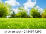 Green Grass Lawn Surrounded By Trees, Blurred Summer Background