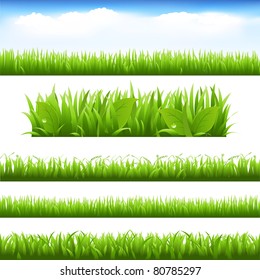Green Grass And Leafs Set, Isolated On White Background, Vector Illustration - Shutterstock ID 80785297