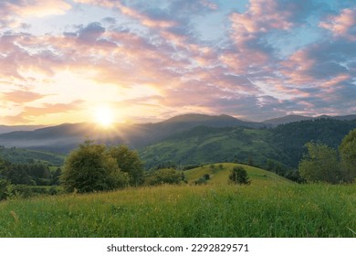 Green grass meadow on a mountain hill under a gorgeous sunset sky. Carpathian mountains. Ukraine.