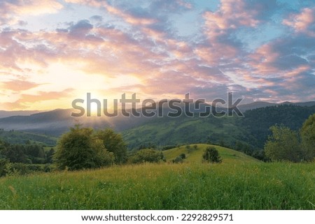 Green grass meadow on a mountain hill under a gorgeous sunset sky. Carpathian mountains. Ukraine.