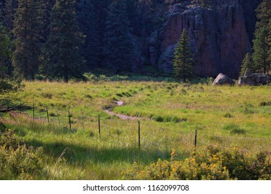 Green Grass Meadow With Path