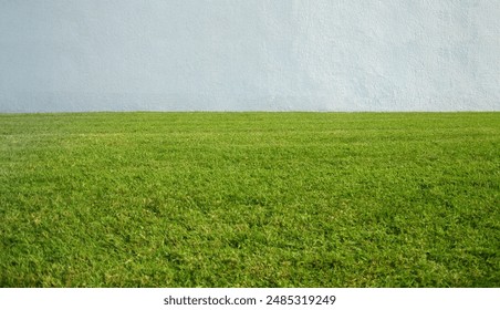 Green grass or meadow of a private villa garden. A wall or fence with green lawn of a private property. - Powered by Shutterstock