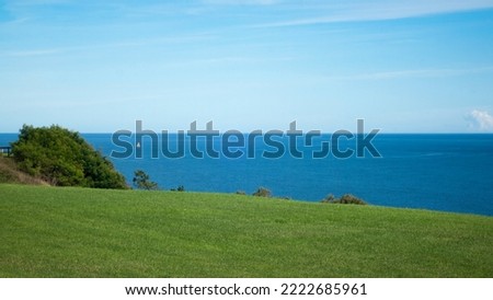 Green grass meadow and white sail boat at blue sea horizon