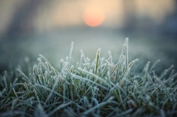 Green Grass With Morning Frost And Red Sun