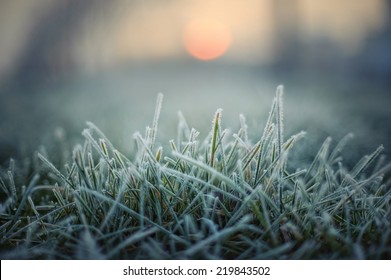 green grass with morning frost and red sun - Powered by Shutterstock