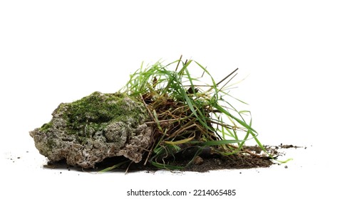 Green Grass And Moss On Stone Isolated On White 