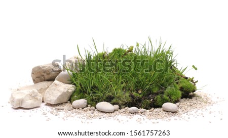 Green grass and moss with sand and decorative stone, rock isolated on white background