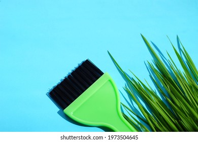 Green Grass And New Green Hair Dye Brush On Blue Table.