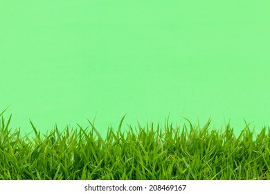 green grass on green background