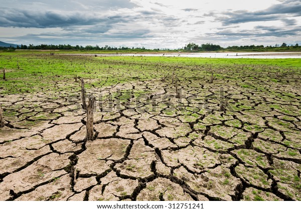 mud river grass mud river grass