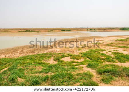 green grass on cracked soil in the bottom of a river showing drought