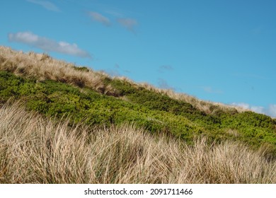 green grass on the hill