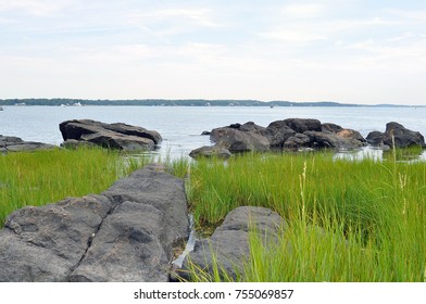 Green grass on rocky ocean sea shore