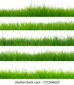  green grass on white - Shutterstock ID 171504623