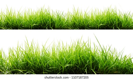 green grass on white background - Shutterstock ID 1107187205