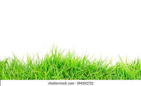 Grass Isolated On White Background Stock Photo 324780398 | Shutterstock