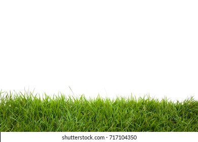 Green Grass On White Background