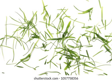 Green Grass, Organic Plant Texture Isolated On White Background, Top View