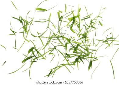 Green Grass, Organic Plant Texture Isolated On White Background, Top View