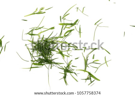 Green grass, organic plant texture isolated on white background, top view