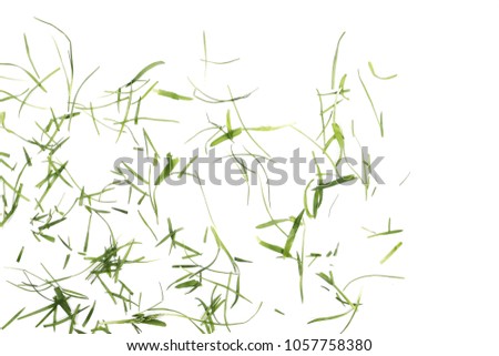 Green grass, organic plant texture isolated on white background, top view