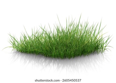 The green grass is outdoors on a white background.
