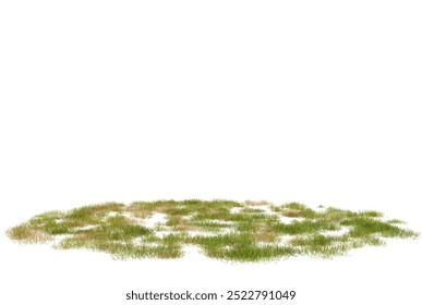 Green grass patch isolated on white background